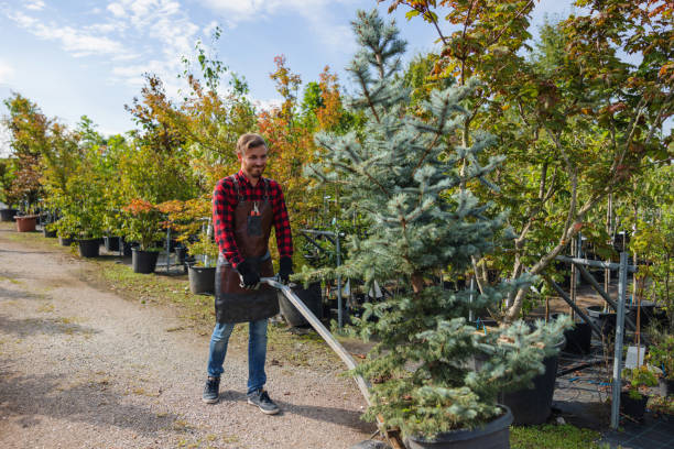  Ovid, MI Tree Service Pros